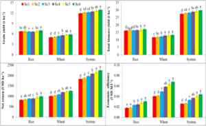 Read more about the article Productivity and Energetics of Raising Rice-Arhar Concerning Sowing Windows Under Different Nutrient Management and Crop Geometry