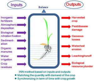Read more about the article Evaluation of Economic Feasibility for Aonla Production with the Aid of Integrated Nutrient Management