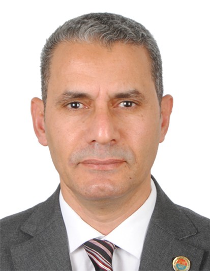 Hesham Moustafa